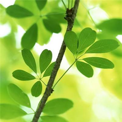steam云挂卡官方版下载